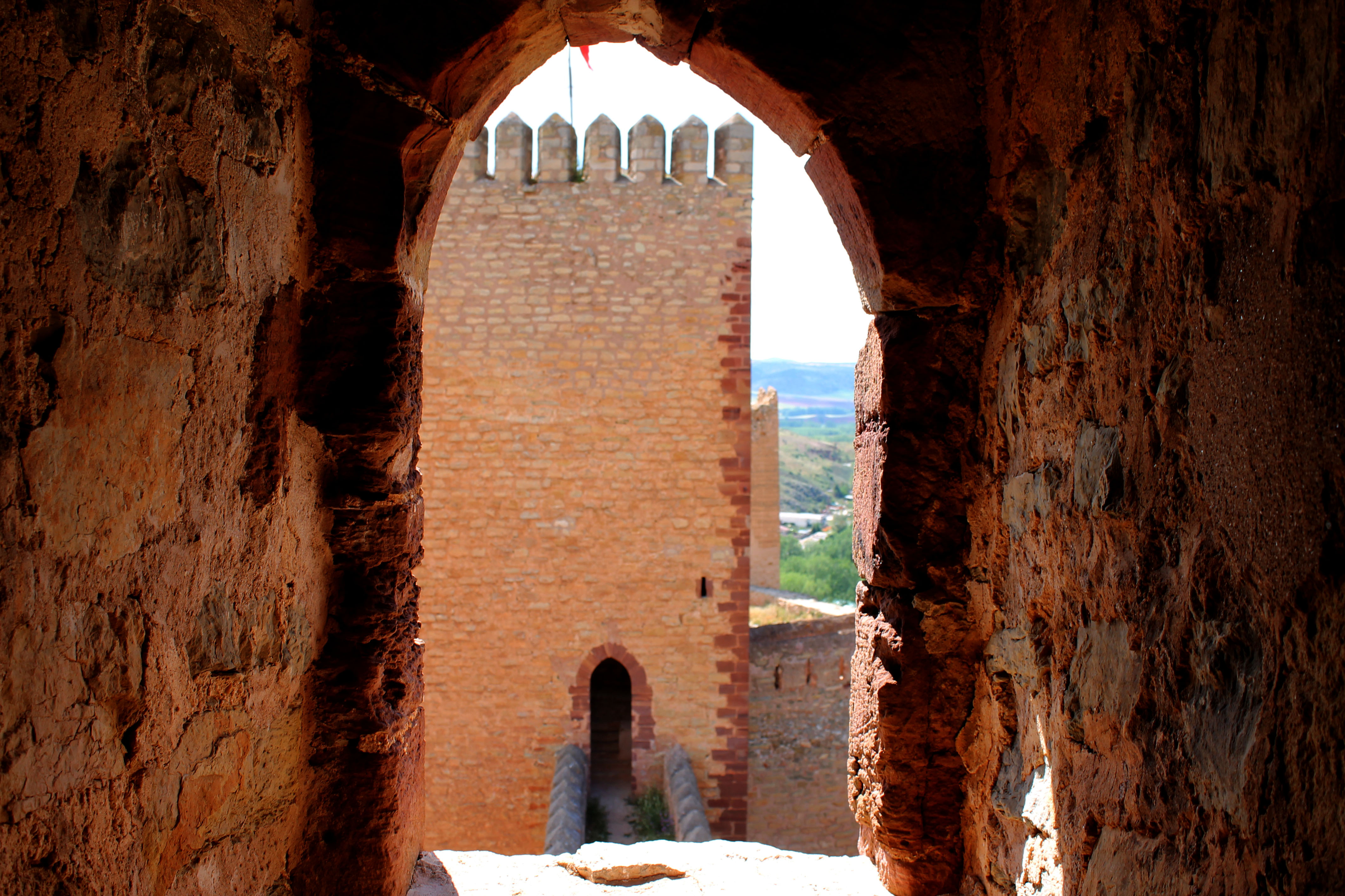 Declaración Institucional para la protección y conservación del Castillo de Molina y su casco hitórico