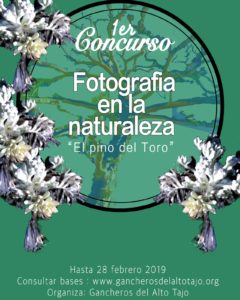 La Asociación de Municipios Gancheros del Alto Tajo convoca un original certamen de fotografía