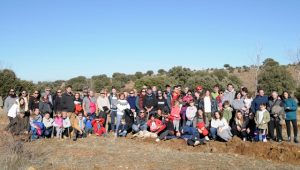 Campillo de Dueñas, más de 30 años de “bellotada”