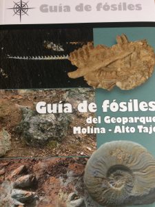 Nueva guía sobre Fósiles del Geoparque editada por el Museo de Molina