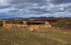 EL  ABANDONO  RURAL.